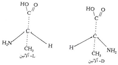 آمینو اسیدها و پروتئین‌ها